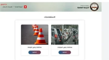 أبرز المخالفات.. كيفية استعلام مخالفات المرور بالرقم القومي واللوحة بسهولة 2025